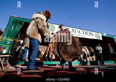 Die Fell-Auktion im Jahr 2011 Fur Rondy Festival in der Innenstadt von Anchorage, Alaska Yunan, Winter Stockfoto