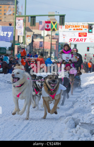 Dee Dee Jonrowe Breie, 4th Ave. während der feierlichen Beginn des 2011 Iditarod, Anchorage, Alaska Yunan, Winter Stockfoto