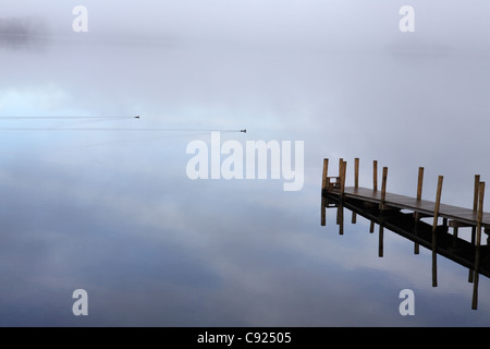 Nebel über Derwent Water mit einem Holzsteg und zwei Enten machen Wanderwege im Wasser, in der Nähe von Keswick, North West England, UK Stockfoto