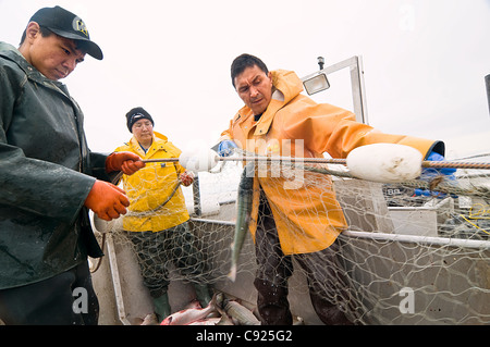 Einheimische Familie schleppt in ihrem Set net während des kommerziellen Fischens für Sockeye Lachs in Bristol Bay, Südwest AK, Sommer Stockfoto