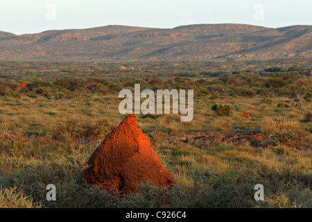 Rot Termite Mound im australischen Outback-Landschaft, Exmouth Western Australia Stockfoto