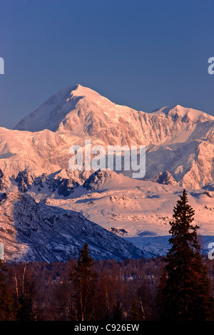 Blick auf Alpenglühen am frühen Morgen über Mount McKinley gesehen Gesichtspunkten Denali State Park, Denali Nationalpark, Alaska Stockfoto