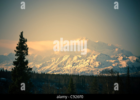 Anzeigen der frühen Morgenlicht am Mount McKinley, wie Gesichtspunkten Denali State Park, Denali Nationalpark, Alaska Stockfoto