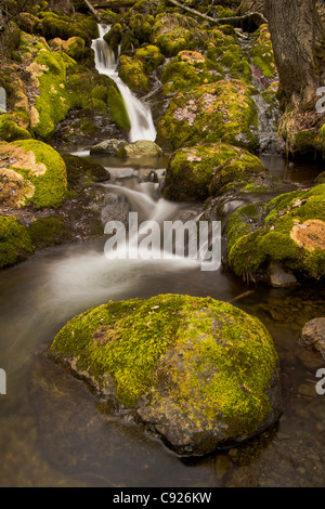 Malerische Aussicht auf Wasserfälle Bach und Wasserfall mit Moos bedeckt Felsen, Turnagain Arm, Chugach State Park, Yunan Alaska, Frühling Stockfoto