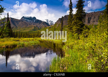 Malerische, von einem kleinen Teich an der Nabesna Straße in Wrangell-St.-Elias-Nationalpark mit Skookum Vulkan im Hintergrund, Alaska Stockfoto