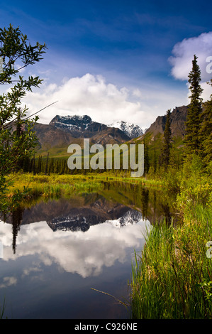 Malerische, von einem kleinen Teich an der Nabesna Straße in Wrangell-St.-Elias-Nationalpark mit Skookum Vulkan im Hintergrund, Alaska Stockfoto