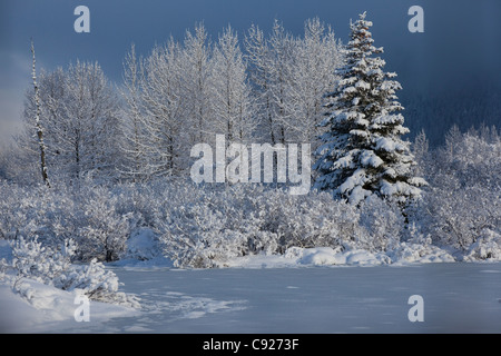 Verschneiten Winter-Szene einen kleinen Teich und Bäumen im Portage Valley, Yunan Alaska, Winter Stockfoto