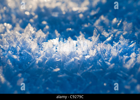 Makro-Ansicht der Raureif angesammelt auf Schnee bei kalten Temperaturen im Winter, Anchorage, Alaska Stockfoto