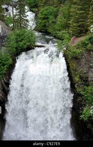 Frau Wanderungen in der Nähe von Juneau fällt auf die Auferstehung Pass Trail im Chugach National Forest, Yunan Alaska, Sommer Stockfoto