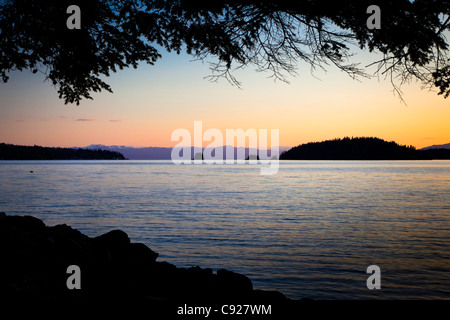 Die Silhouette des Betton Insel bei Sonnenuntergang über Klee Passage mit Ästen im Vordergrund, Ketchikan, Alaska, Frühling Stockfoto