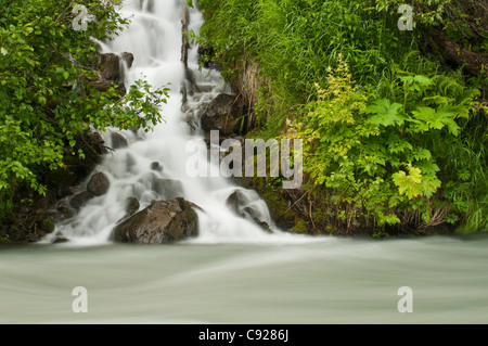 Ein Wasserfall fließt in Granite Creek, Turnagain Pass, Chugach National Forest, Sommer Stockfoto