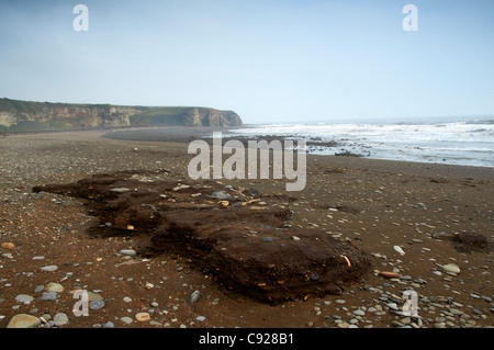 Explosion der Strand von Dawdon auf der Nase Punkt auf Durham Heritage Coast. Die Reste der Bergbauindustrie Effekt auf die Stockfoto