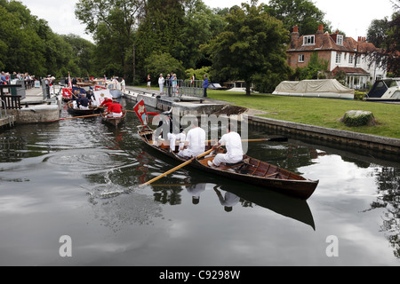 Swan-Oberteil in ihren traditionellen Uniformen Zeile Skiffs den Fluss hinunter, während Swan Upping, Themse, Henley, England Stockfoto