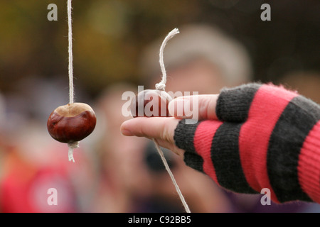 Die schrulligen jährliche Conker Weltmeisterschaft am neuen Lodge-Felder, Polebrook, hinten Oundle in Northamptonshire, England Stockfoto