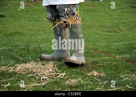 Der schrullige jährliche Shin Kicking Wettbewerb statt auf Dover Hügel in der Nähe von Chipping Campden in Gloucestershire, England Stockfoto