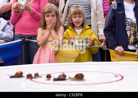 Die schrulligen jährliche Snail Racing Weltmeisterschaft, in Congham, Norfolk, England Stockfoto