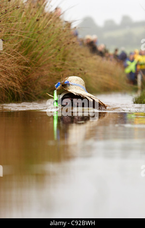 Die schrulligen jährliche Bog Schnorcheln Weltmeisterschaften an einem Torfmoor am Stadtrand von Llanwrtyd Wells, Powys, Wales Stockfoto