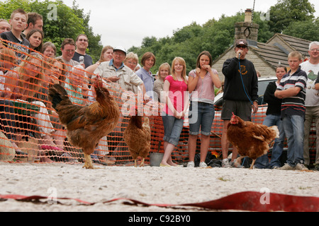 Die schrulligen jährliche Bonsall World Henne Meisterschaftsrennen, gehalten an der Gerste Mähen Pub in Bonsall, Derbyshire, England Stockfoto