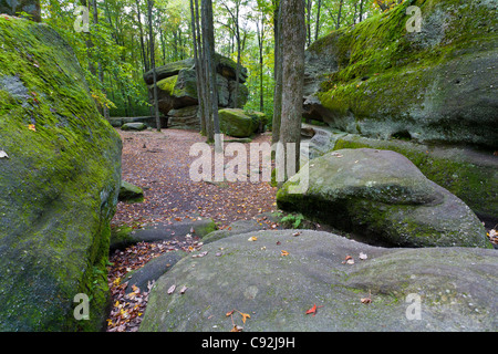 Donner-Felsen im Allegany State Park im Bundesstaat New York Stockfoto