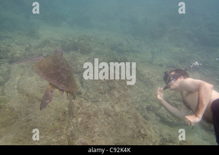 Mann, Unterwasser, Schnorcheln, Ecuador, Galapagos-Inseln, Insel Santiago, Puerto Egas Stockfoto