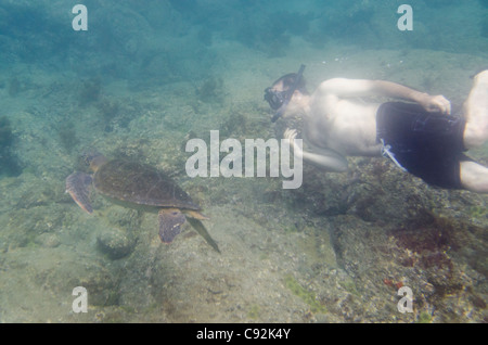 Mann, Unterwasser, Schnorcheln, Ecuador, Galapagos-Inseln, Insel Santiago, Puerto Egas Stockfoto