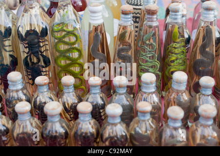 Laotische Rum mit Schlangen auf dem Display an einem Marktstand, Laos Stockfoto