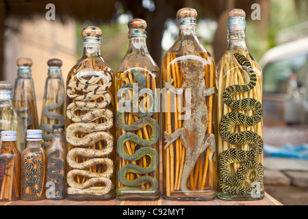 Laotische Rum mit Schlangen auf dem Display an einem Marktstand, Laos Stockfoto