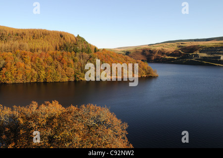 Llyn Brianne Reservoir im Herbst Rhandirmwyn Cambrian Mountains Llandovery Carmarthenshire Wales Cymru UK GB Stockfoto