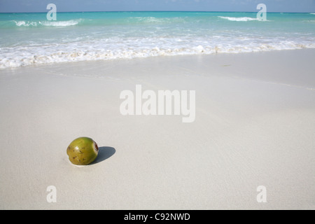 Strand von Varadero, Kuba. Stockfoto