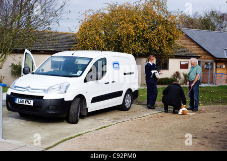 Kunden mit Blick auf ein Hund wartet auf die Rspca Wiederansiedlung Arbeiter laufen Arche Tierheim Stubbington Hampshire England uk Stockfoto