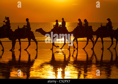 Kamel Touristenzug am Cable Beach bei Sonnenuntergang, Broome, Kimberley-Region, Western Australia, Australien Stockfoto