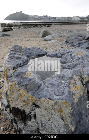 Lache des Wassers auf einem Felsen am Strand Gwynedd Criccieth Nord wales uk Stockfoto