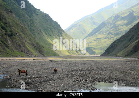 Die Sno-Tal ist ein beliebter Gast Ort für trekking wegen seiner natürlichen Schönheit. Stockfoto