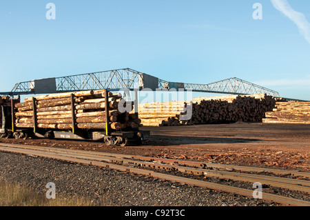 Teevin Brüder Log Hof Holz Oregon Longview Washington State Columbia River Vereinigte Staaten von Amerika Stockfoto