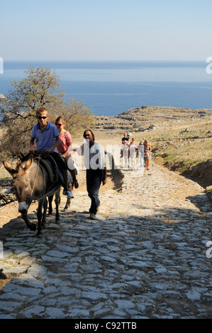 Esel, die die Touristen den Weg hinauf, führt von Lindos Stadt bis die Akropolis Stockfoto