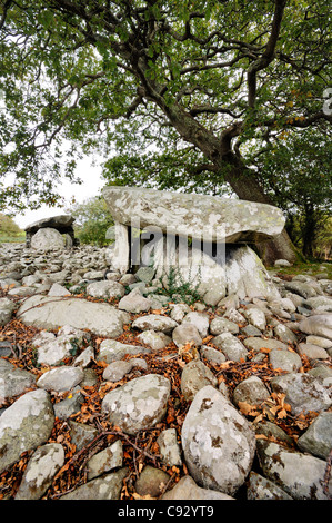 Dyffryn Ardudwy 6000 Jahre alte prähistorische megalithischen Dolmen Grab. Zwei Grabkammern in Dolmen Cairn. Gwynedd, Wales, UK Stockfoto