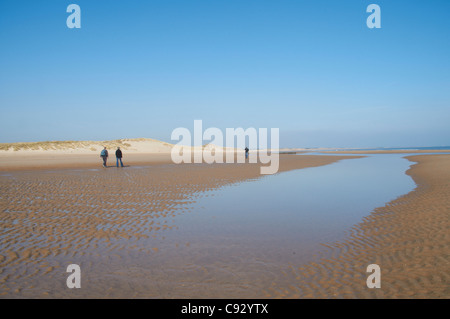 Druridge Bay bei Ebbe. Ein großer Strand im Bereich Northumberland Küste und Tierwelt. Stockfoto