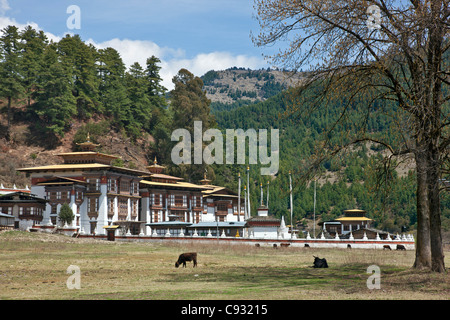 Das attraktiv gelegene Kurjey Lhakhang umfasst drei Tempel von 108 Chörten umgeben. Stockfoto