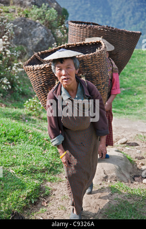 Frauen mit großen Bambus, die Körbe gehen, sammeln produzieren aus ihren Hang Bauernhöfe im Mangde Chhu Tal. Stockfoto