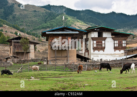 Ein Bauernhof mit typischen bhutanischen anmutenden Bauernhäuser im fruchtbaren Phobjikha Tal. Stockfoto