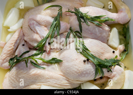 Spatchcock Huhn erwürgt in Olivenöl, Zitronensaft, Weißwein, schwarze Pfefferkörner Zwiebel und Estragon Stockfoto