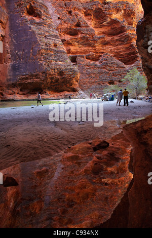 Reflexion im Rock pool, Touristen, Cathedral Gorge, Bungle Bungles, Purnululu National Park, Kimberley-Region, Western Australia Stockfoto