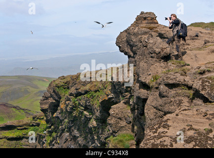 Ein Besucher fotografiert Seevögel auf den Klippen am Dyrhólaey, die reich an Vogelleben Naturschutzgebiet sind. Stockfoto