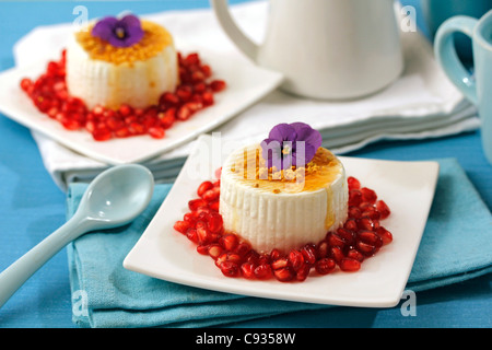 Weichkäse mit Granatapfel und Honig. Rezept zur Verfügung. Stockfoto