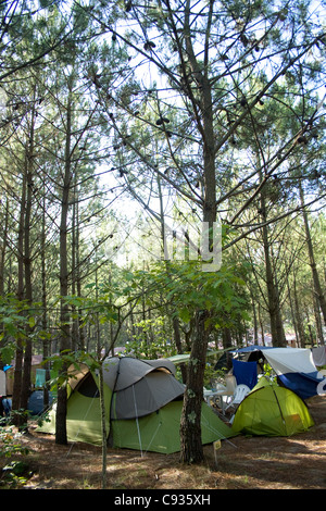 Campingplatz in den Wald der Landes, nur wenige hundert Meter vom Atlantik entfernt Stockfoto