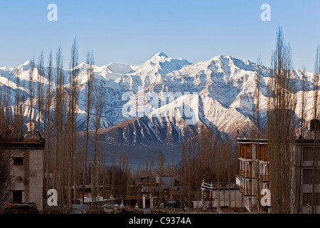 Indien, Ladakh, Leh. Stok Kangri Peak von Leh.  Stok Kangri ist der höchste Berg im Bereich von Stok. Stockfoto