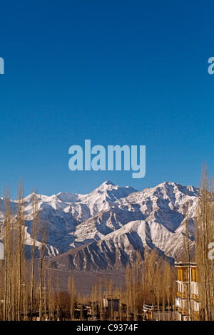 Indien, Ladakh, Leh. Stok Kangri Peak von Leh.  Stok Kangri ist der höchste Berg im Bereich von Stok. Stockfoto