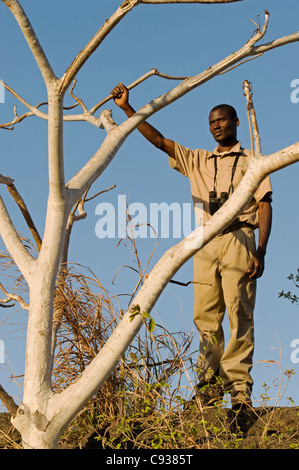 Malawi, Majete Wildlife Reserve. Ein Leitfaden mit Robin Pope Safaris auf eine Buschwanderung. Stockfoto