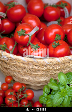 Sizilien, Italien, Westeuropa; Tomaten und Basilikum; Heften Sie Elemente in der südlichen italienischen Küche Stockfoto