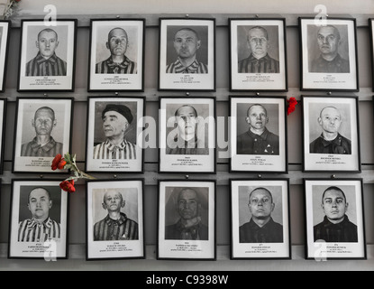 Polen, Oswiecim, Auschwitz I. Fotografien der polnischen Opfer. Stockfoto